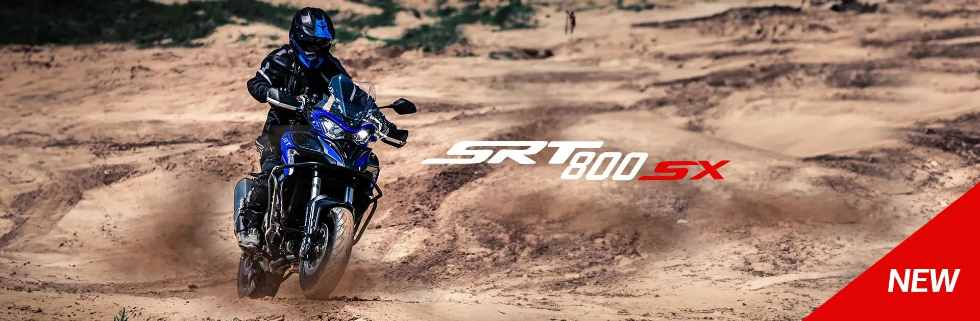 QJ MOTOR SRT 800SX